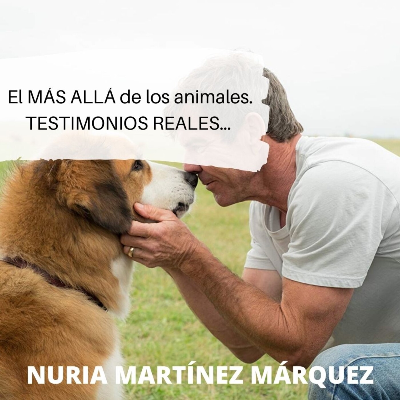 Sergio Amado