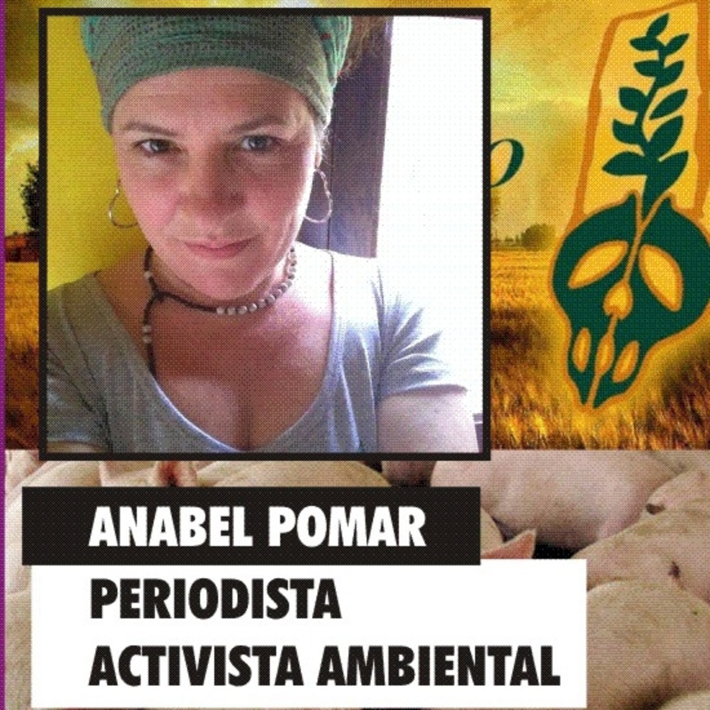 ENTRELÍNEAS (Programas, entrevistas, columnas)