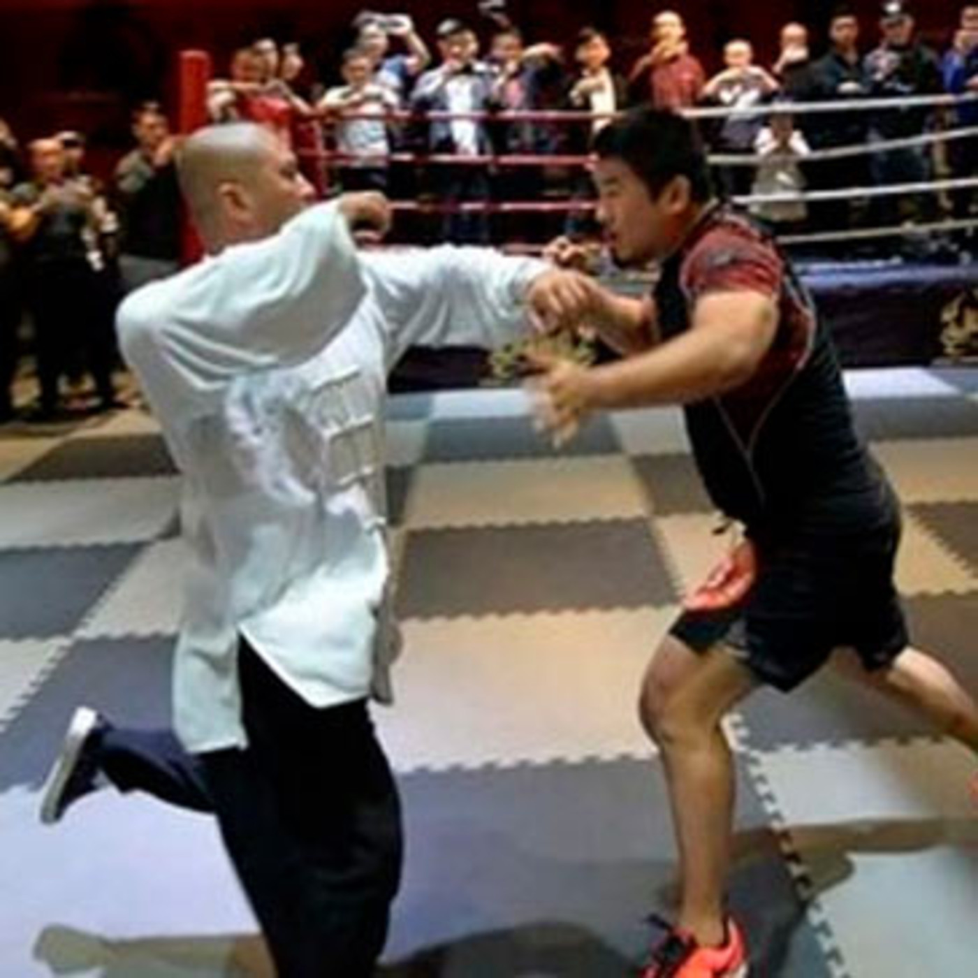 Dragonz | Artes Marciales y Deportes de Contacto