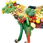 Episodio 36. ¿Es una buena opción ser vegetariano?