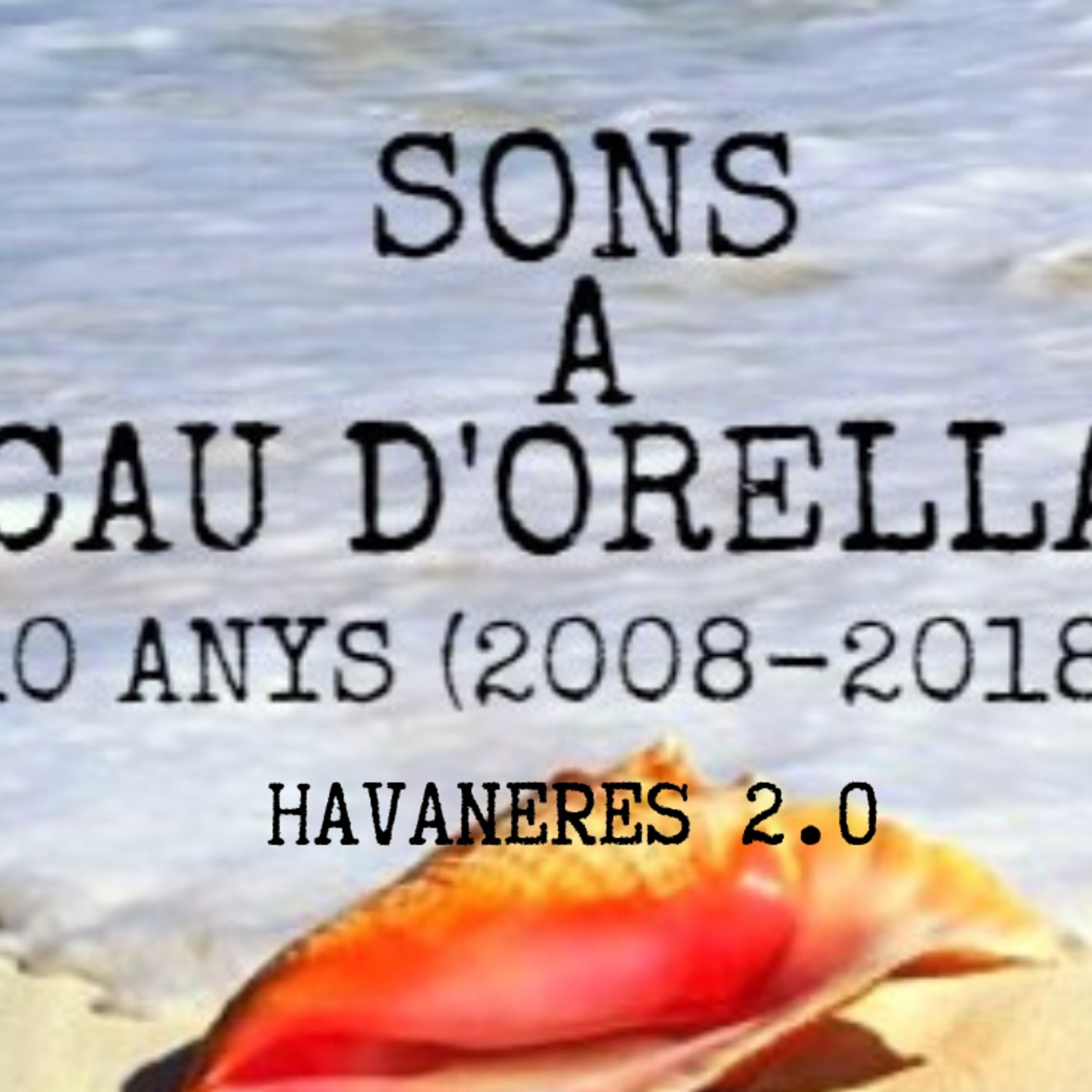 Sons A Cau-10 anys, 10 programes (X)