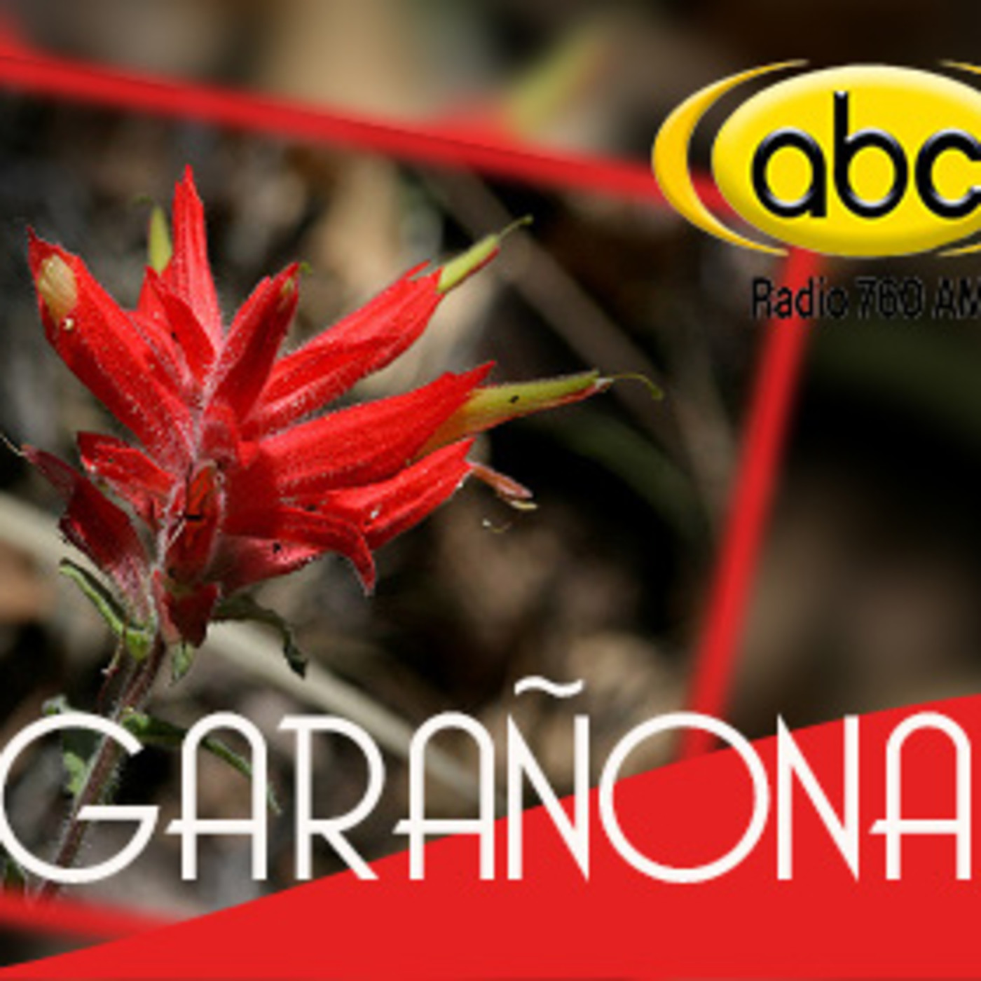 El Angel de tu Salud - GARAÑONA episode artwork