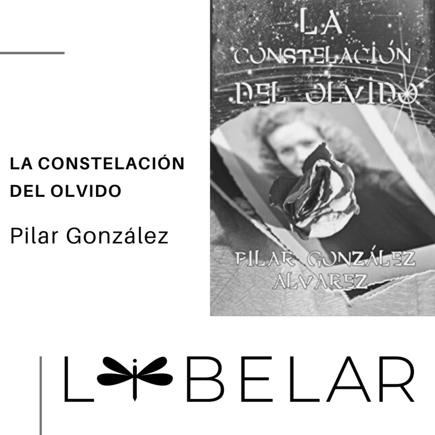 Libelar, vuelan las palabras...
