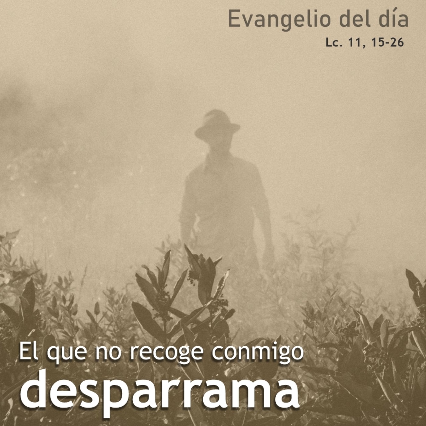 9 de octubre de 2020