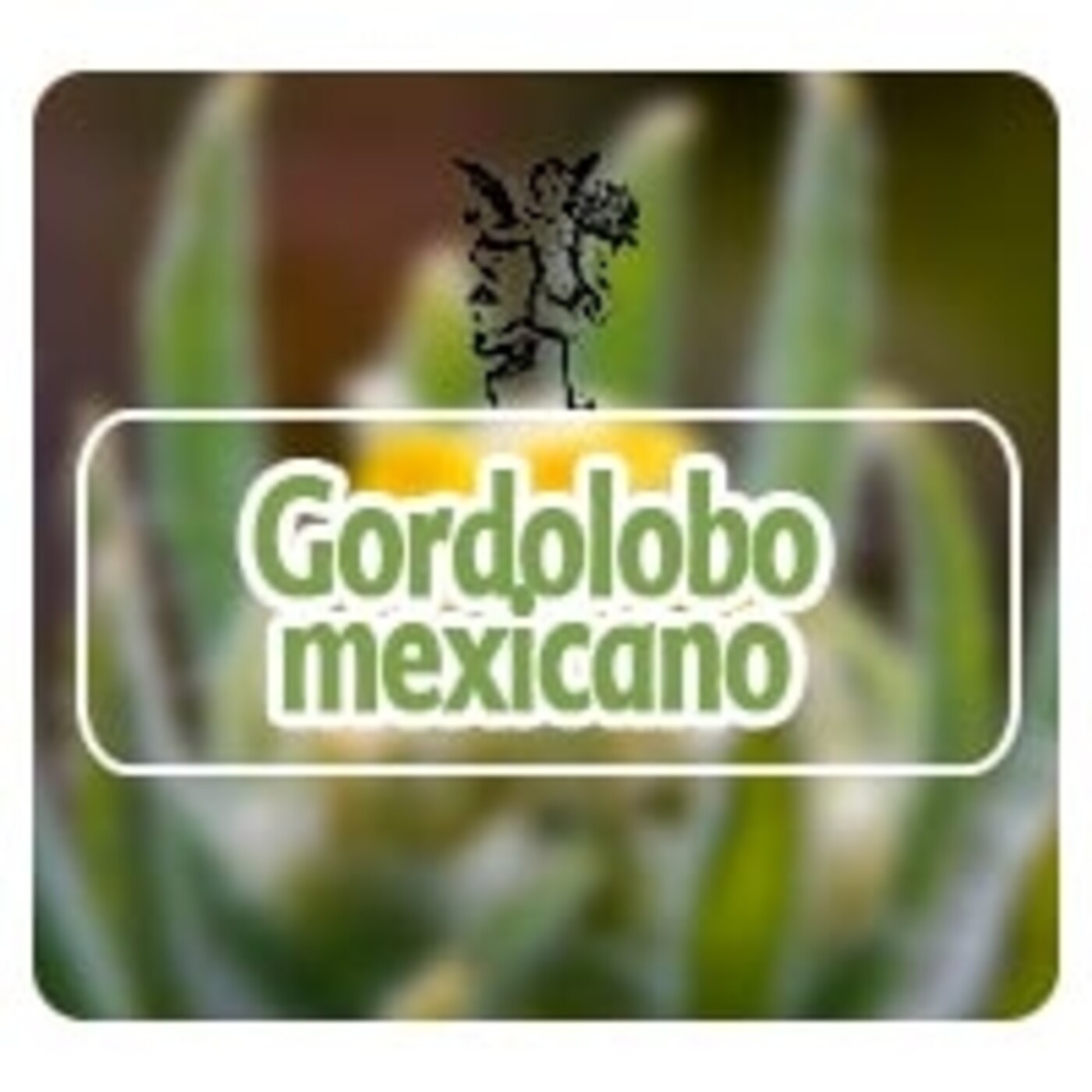 El Angel de tu Salud - GORDOLOBO MEXICANO* episode artwork