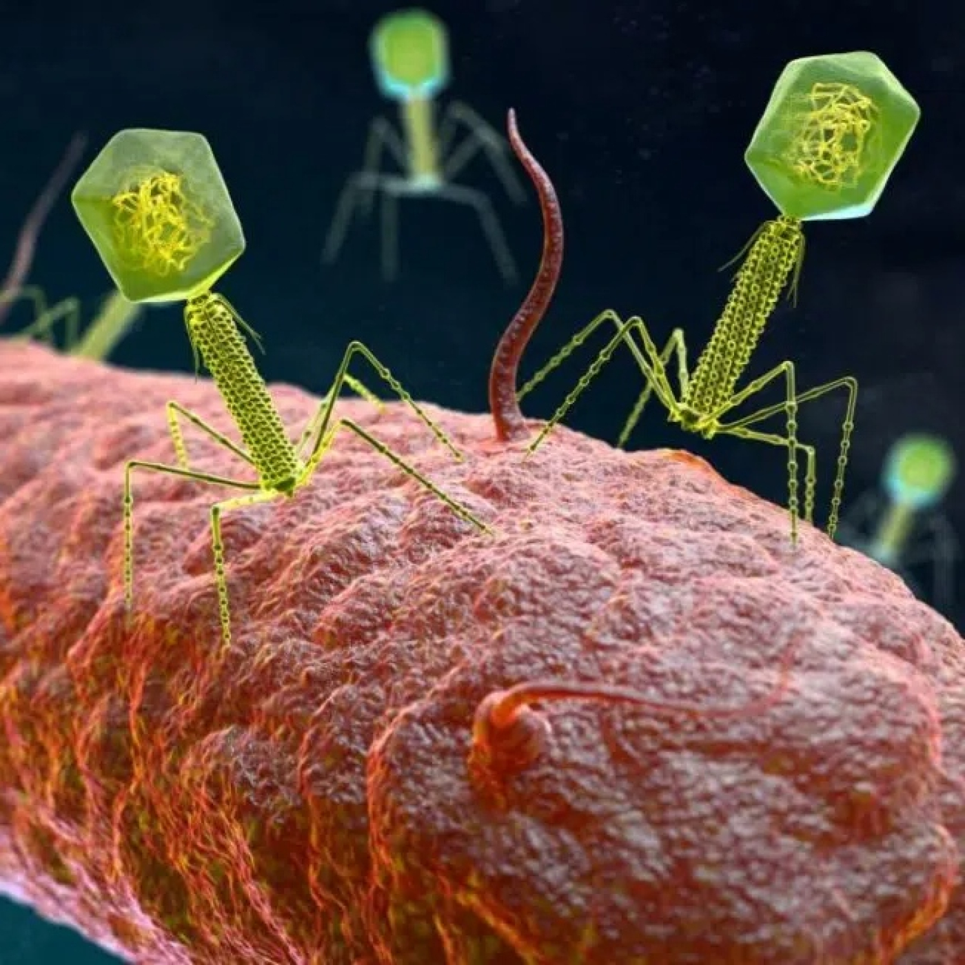 La BioZona