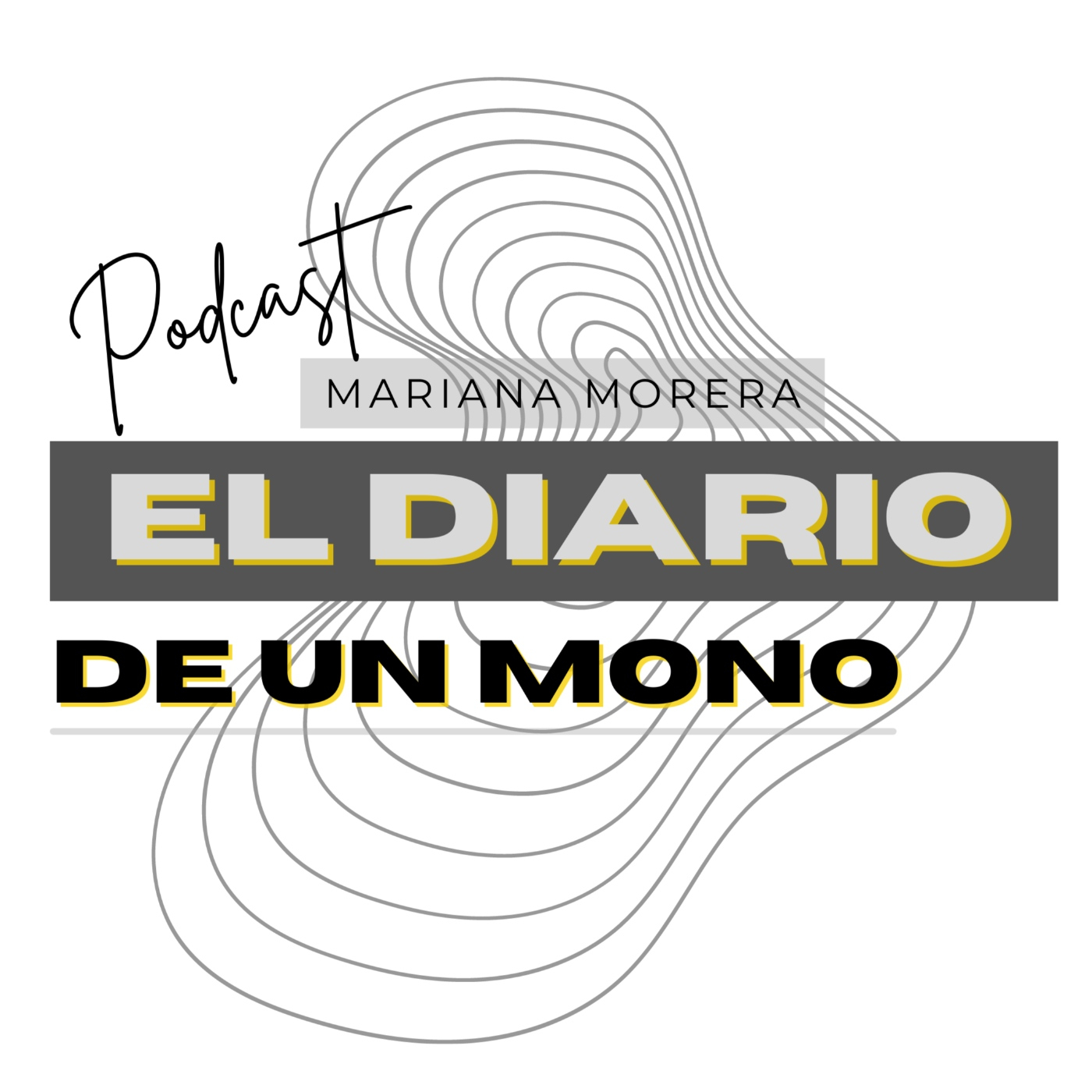 El Diario de un artista