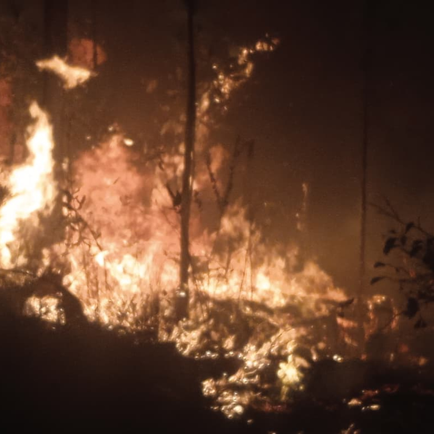 Incendio forestal de muy grandes proporciones en Pinar del Río: vientos y material combustible limitan la contención