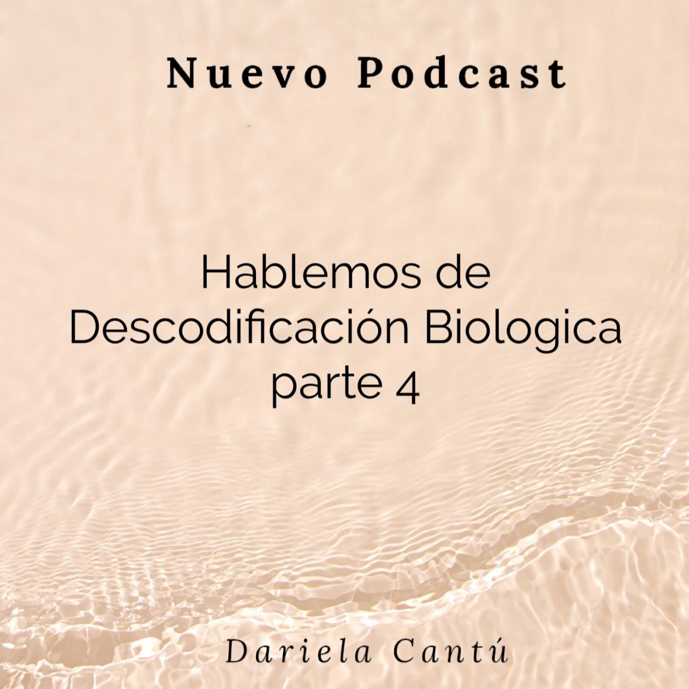 The Holistic Project