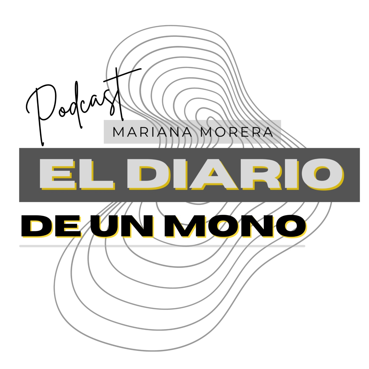 El Diario de un artista