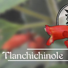 El Ángel de tu Salud - TLANCHICHINOLE III