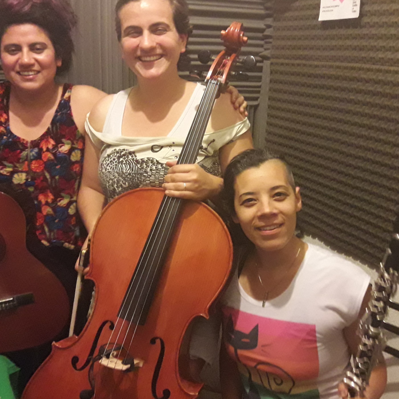 El Chancho Y La Maceta