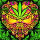 El cannabis