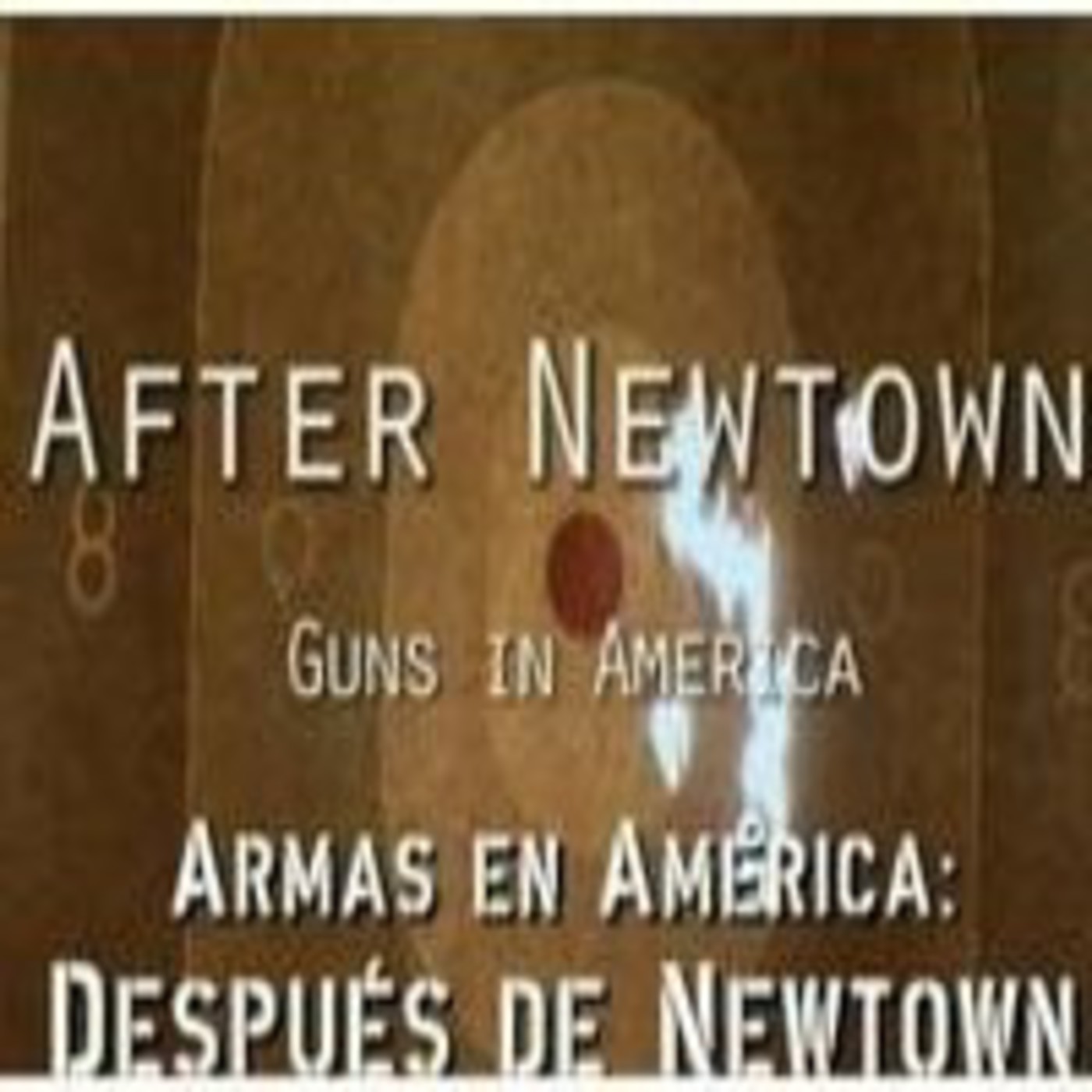 Armas en América: después de Newtown - La Noche Temática episode artwork