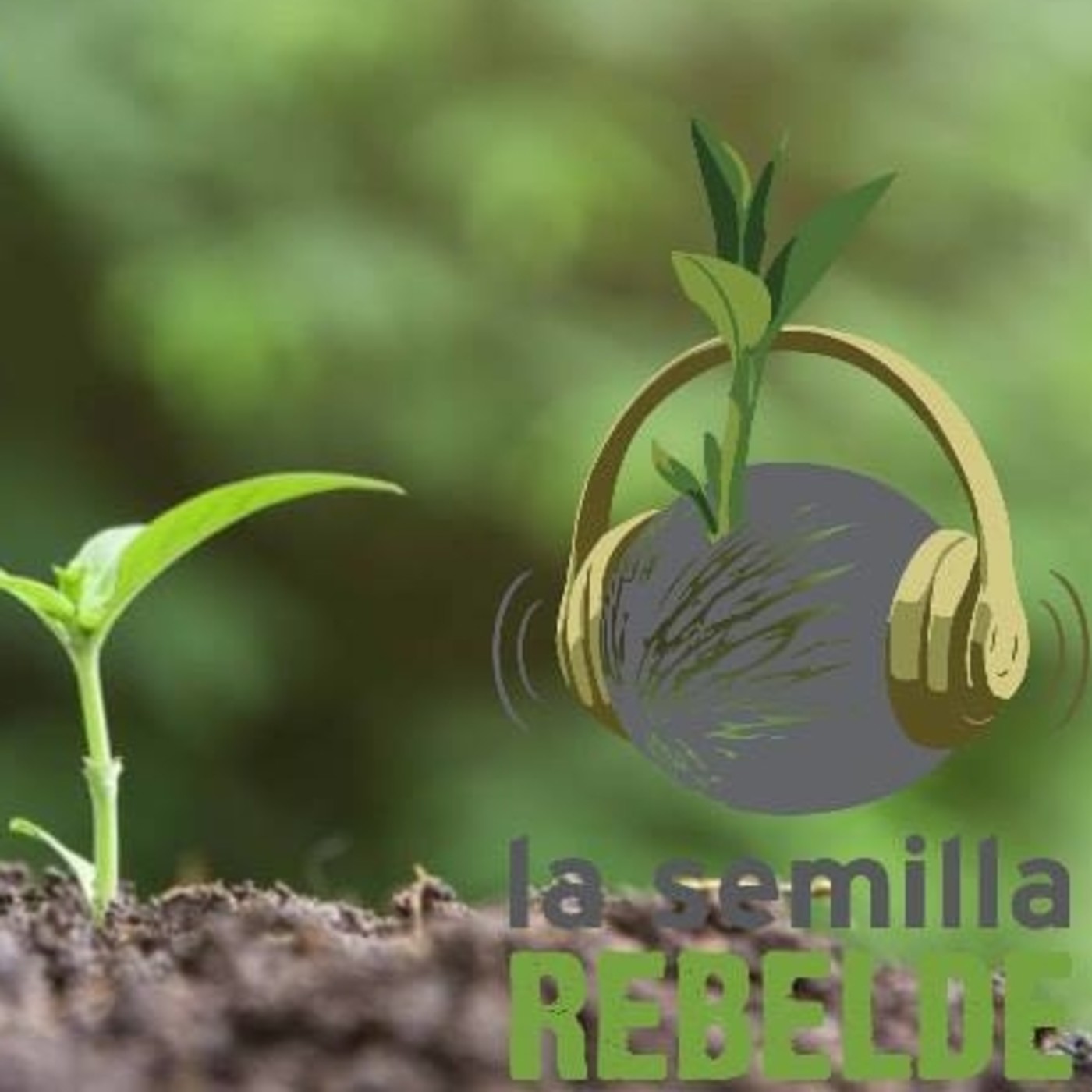 #LaSemillaRebelde 15.4.19 #ConcienciaSolidariaONG #Córdoba episode artwork