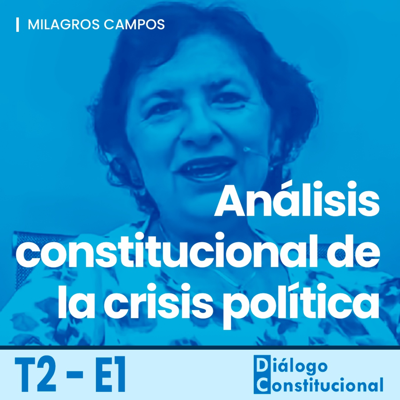 Diálogo Constitucional - LP