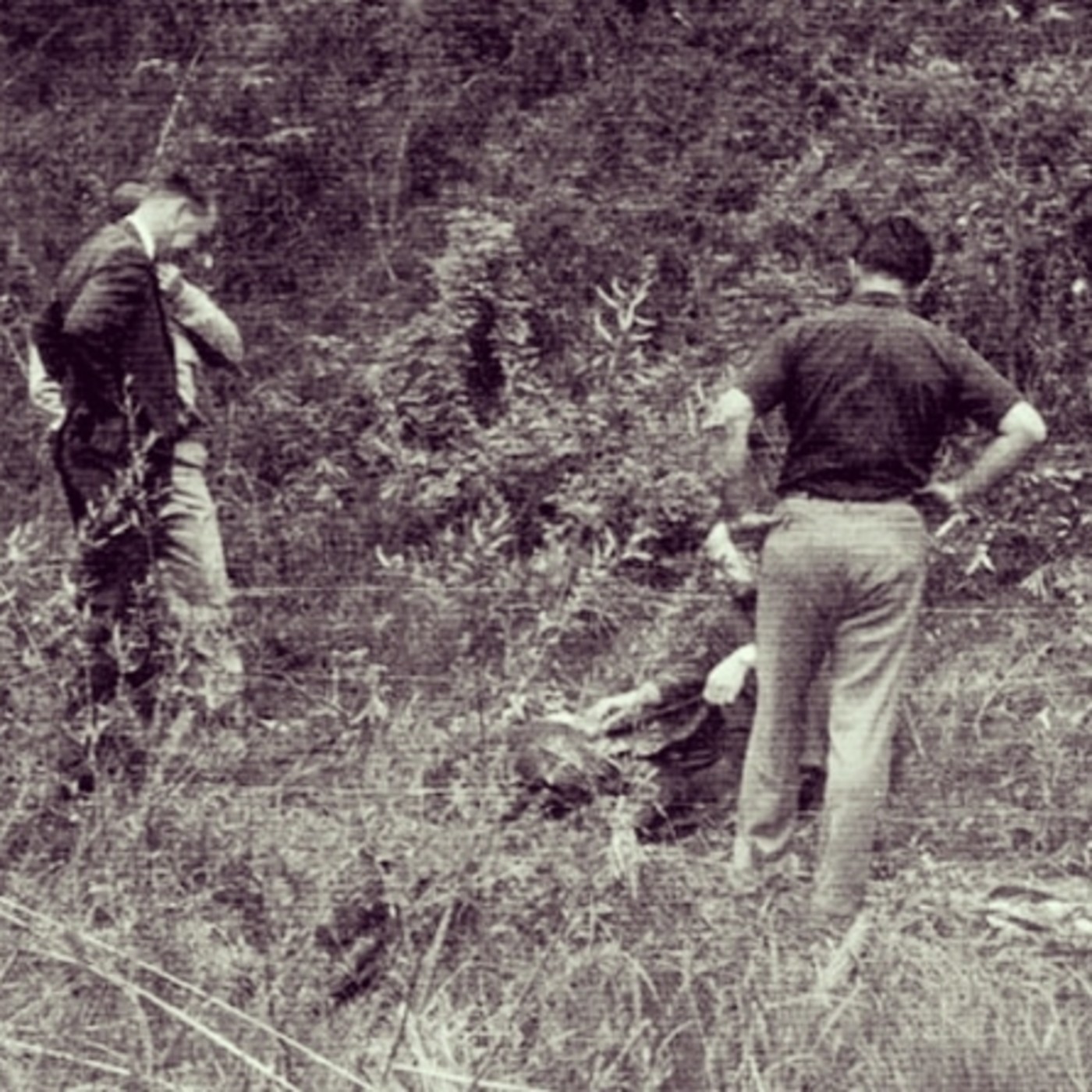 Juego de Asesinos Podcast