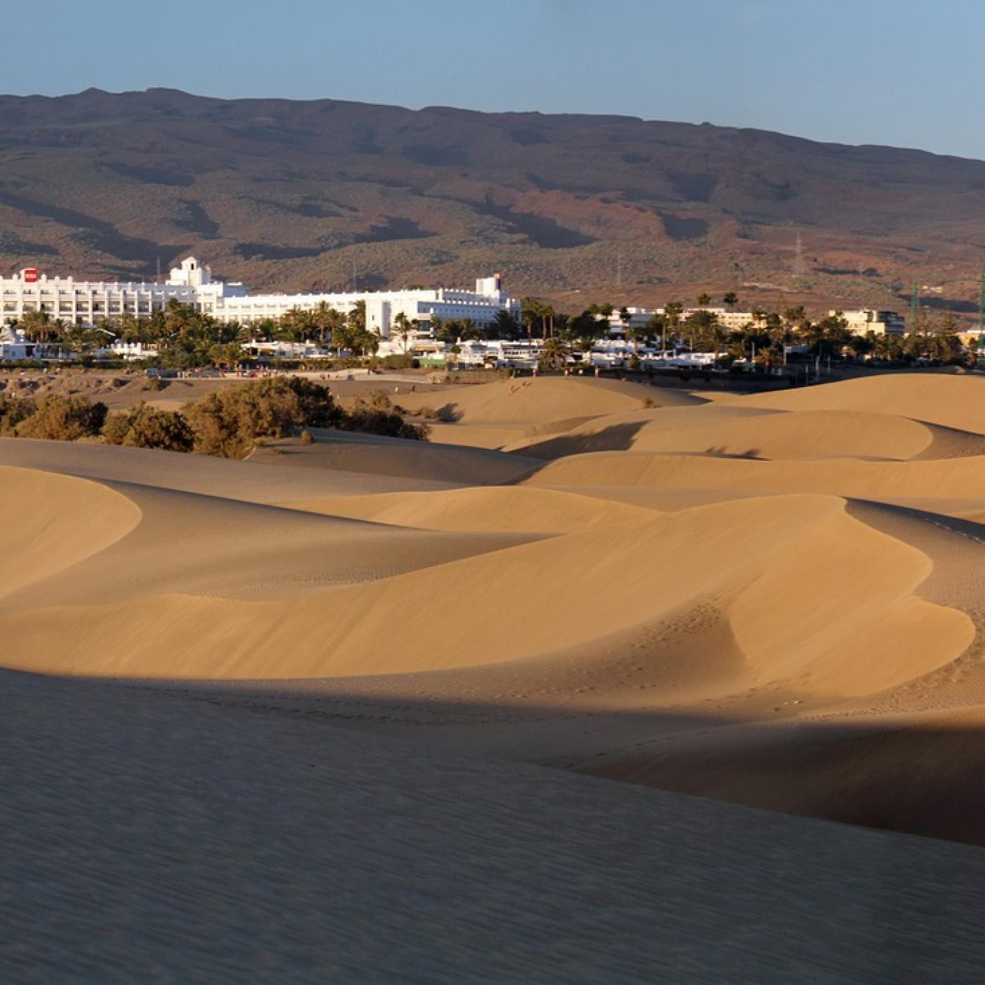 Los Otros Profesionales del Deporte y el Golf