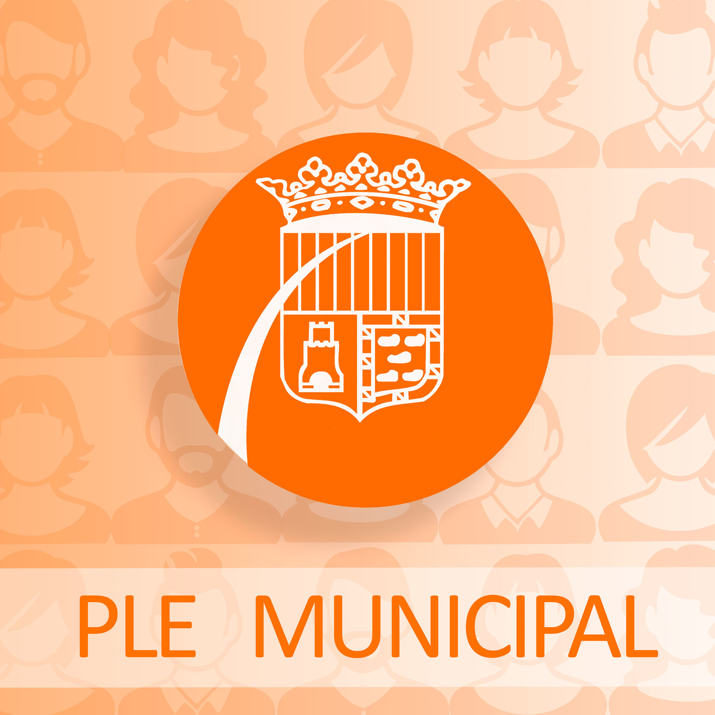 Ple municipal de febrer 2020. L'anàlisi episode artwork
