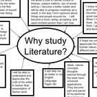 ¿Estudiar literatura?