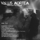 Vol. 7.37 Improvisamos