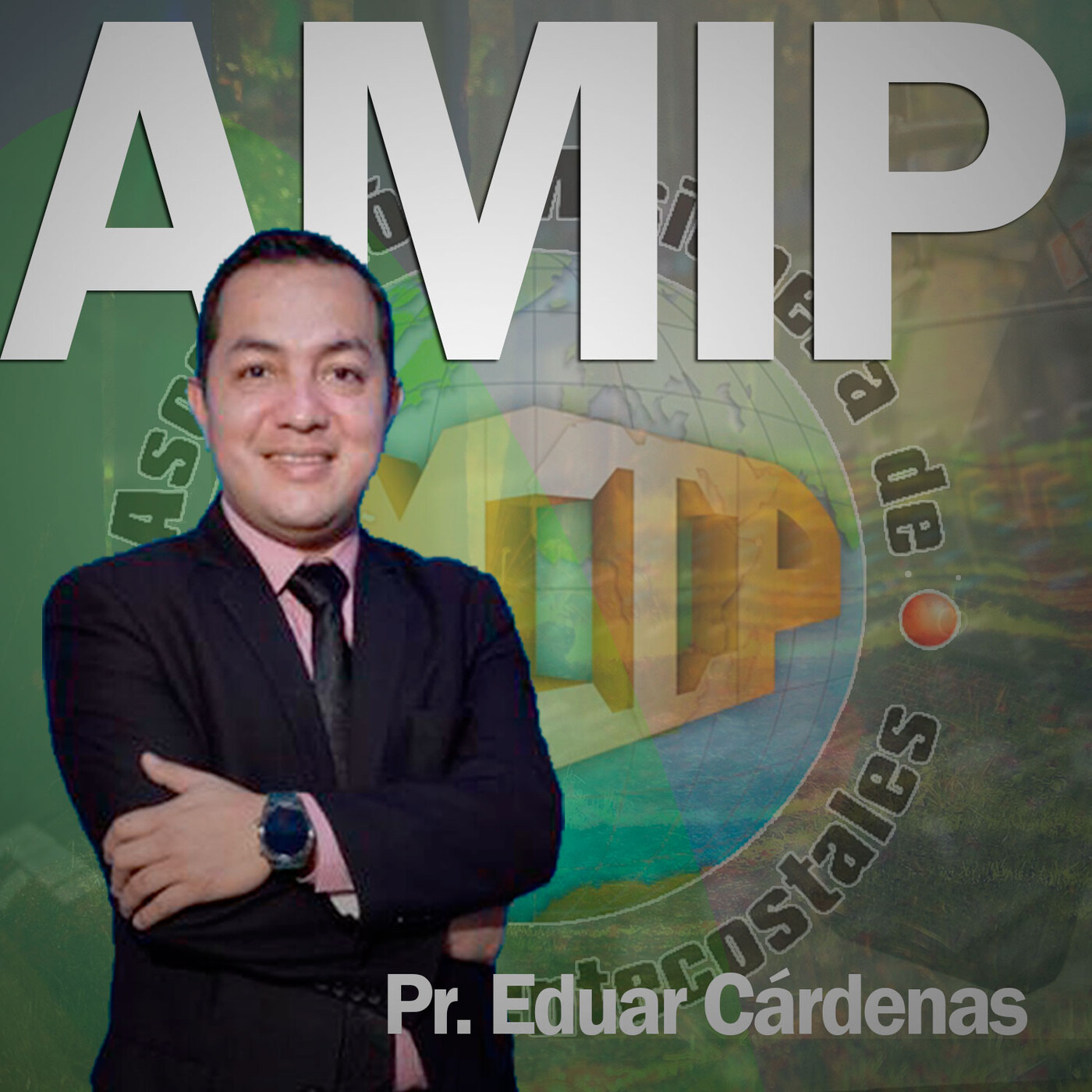 AMIP Institucional