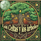 Los Celtas y su relación sagrada con los Árboles