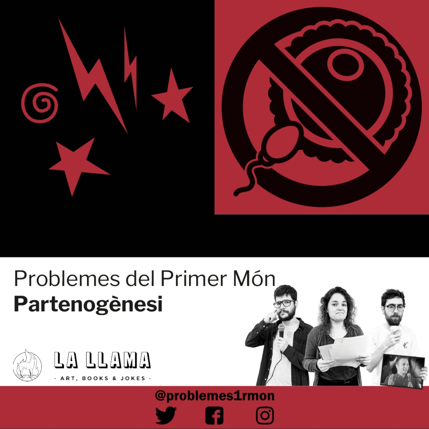 Problemes del Primer Món