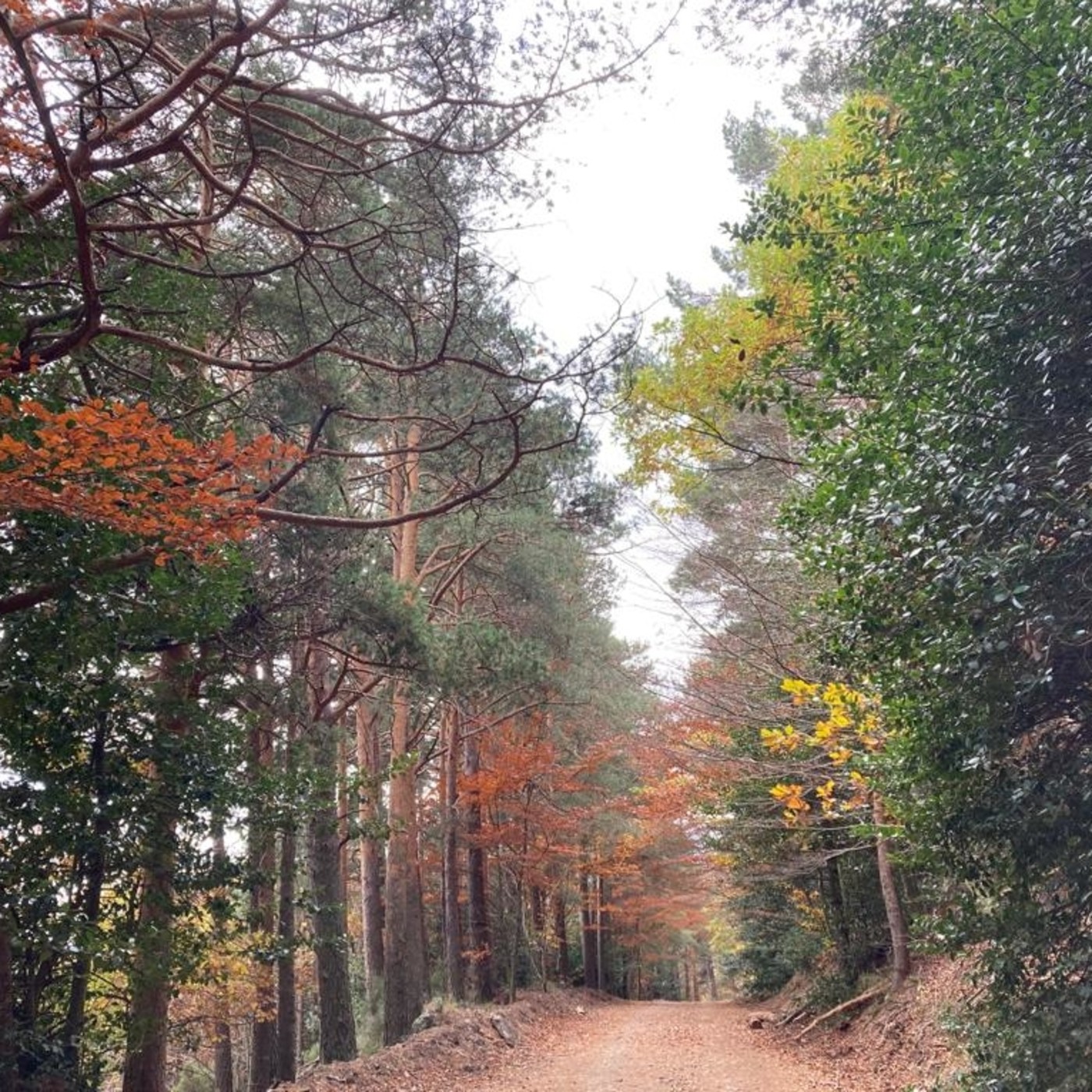 El balcón del Moncayo