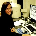 embed image