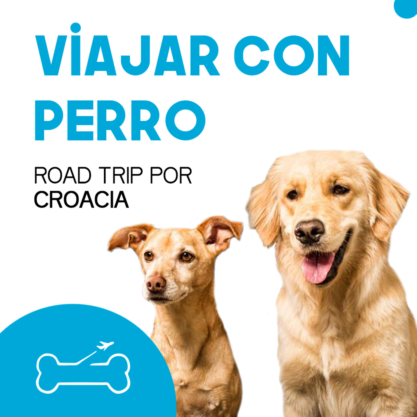 Viajar con perro. El podcast de Turismo Canino