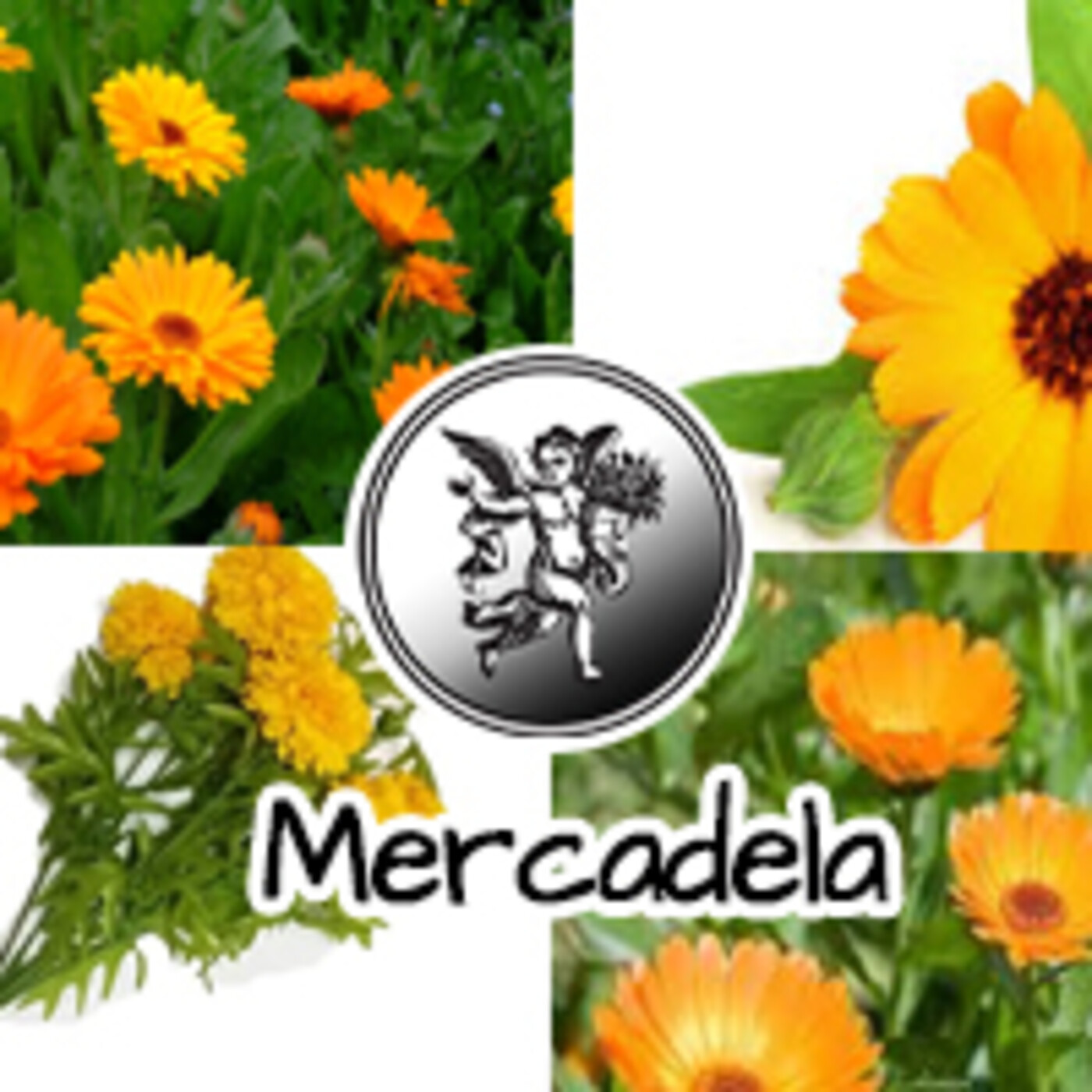 El Angel de tu Salud - MERCADELA* episode artwork