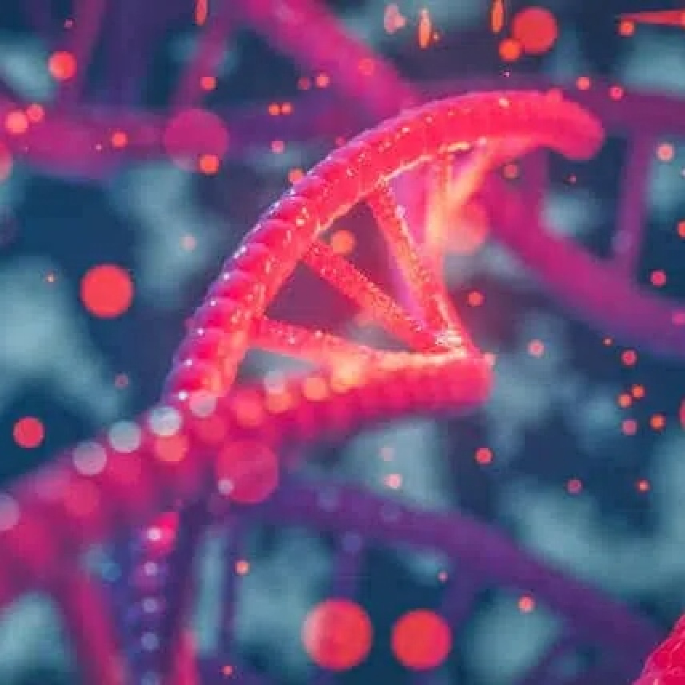 La BioZona