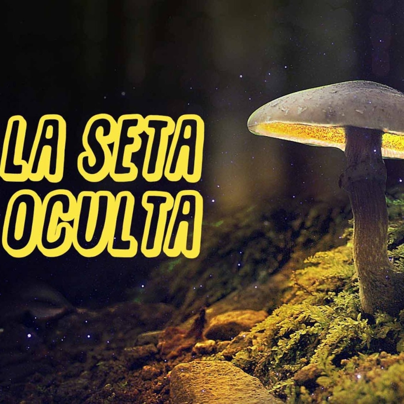 La Seta oculta