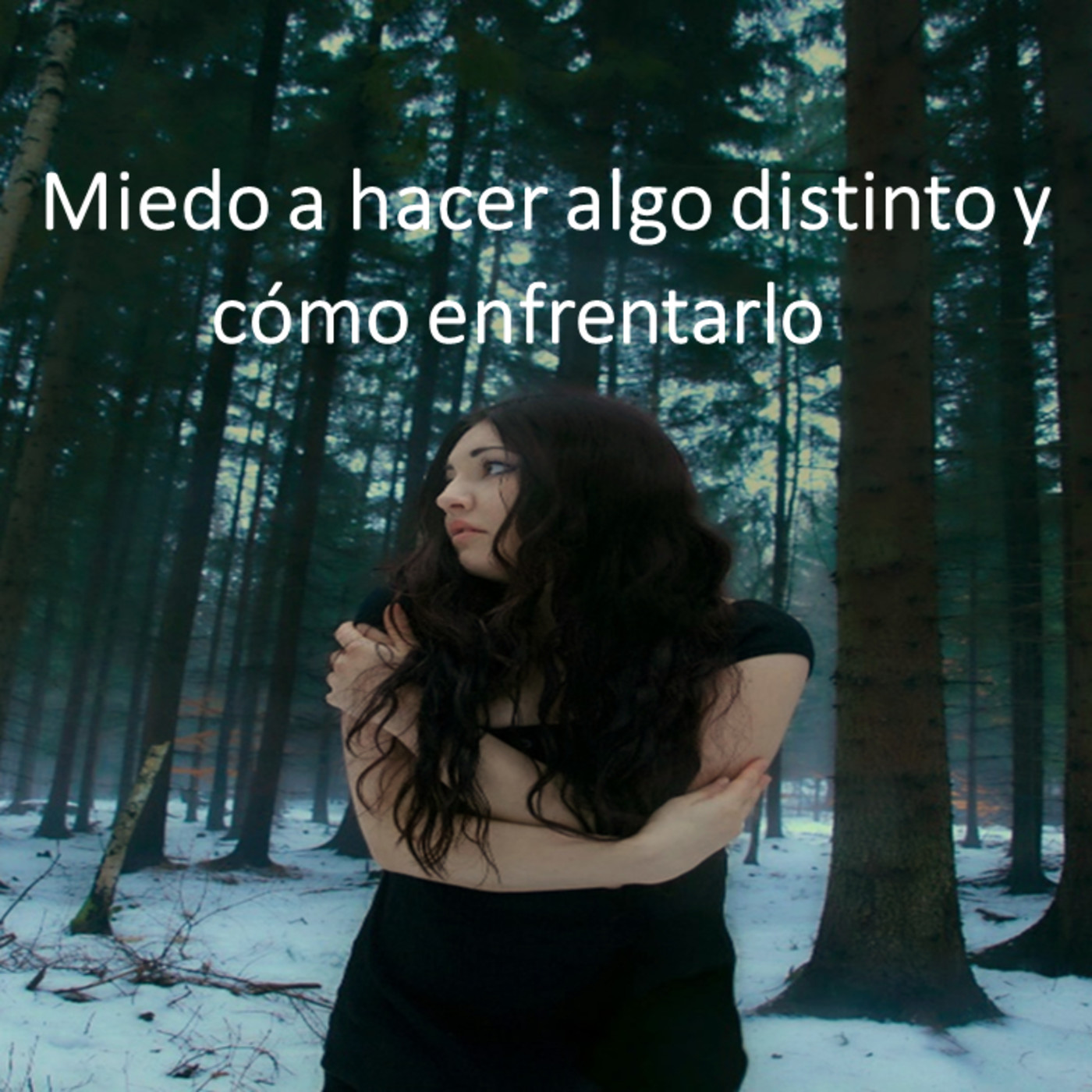 Acción y Reinvención