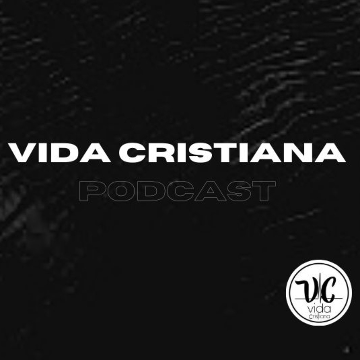 Vida Cristiana Puebla