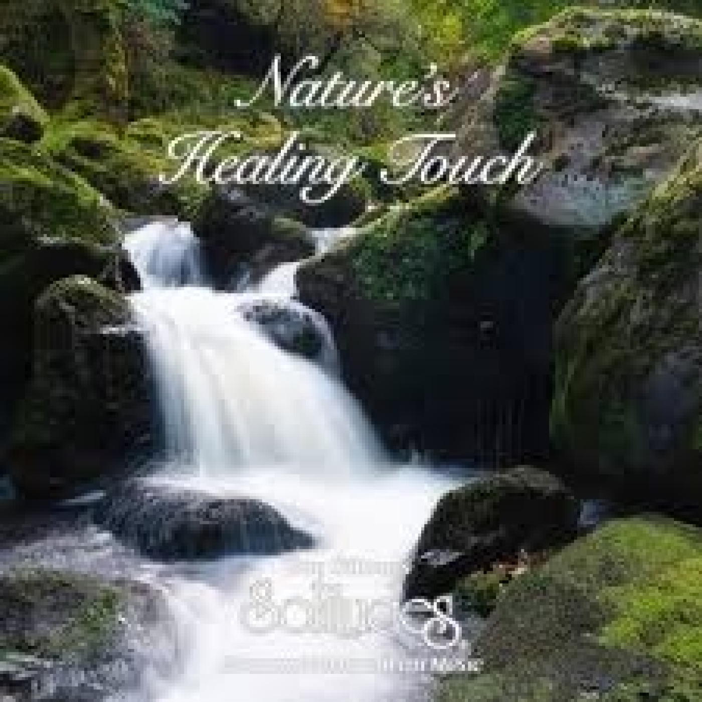 365 - Dan Gibson's Solitudes: Nature's Healing Touch episode artwork