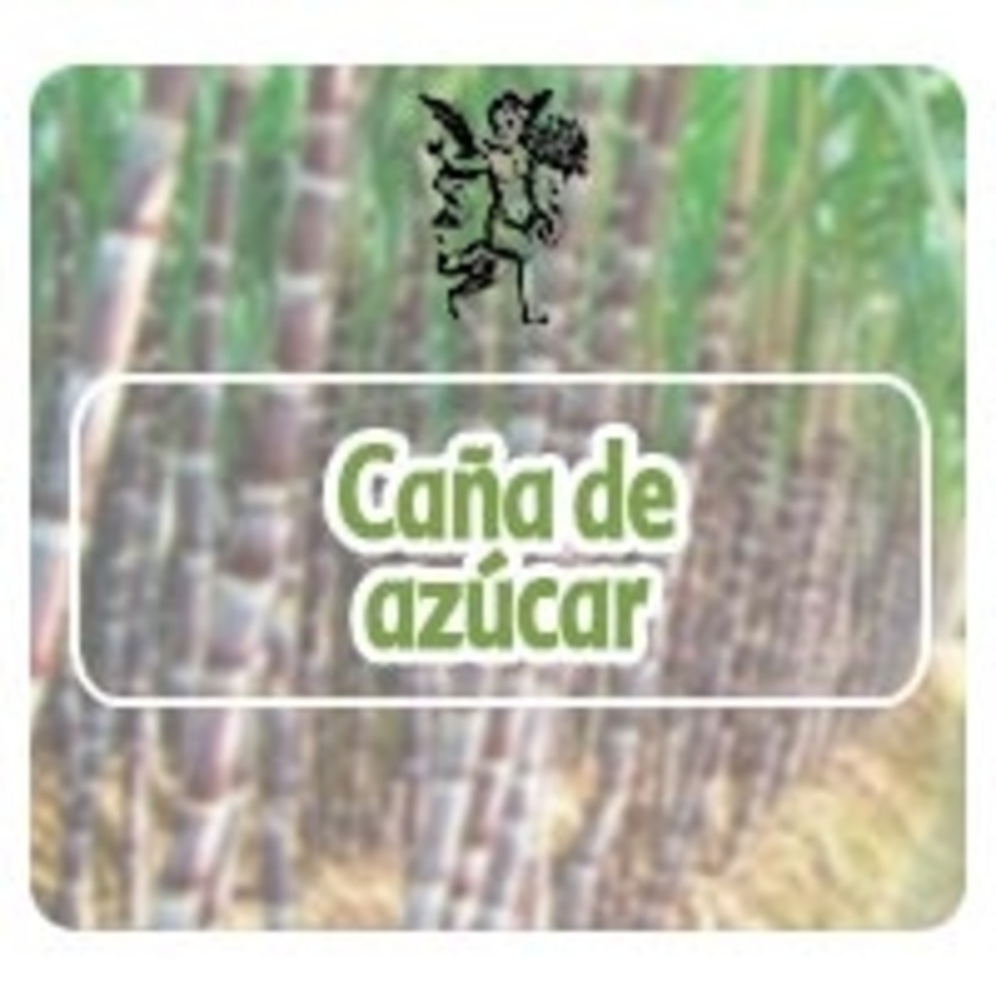 El Angel de tu Salud - CAÑA DE AZUCAR** episode artwork