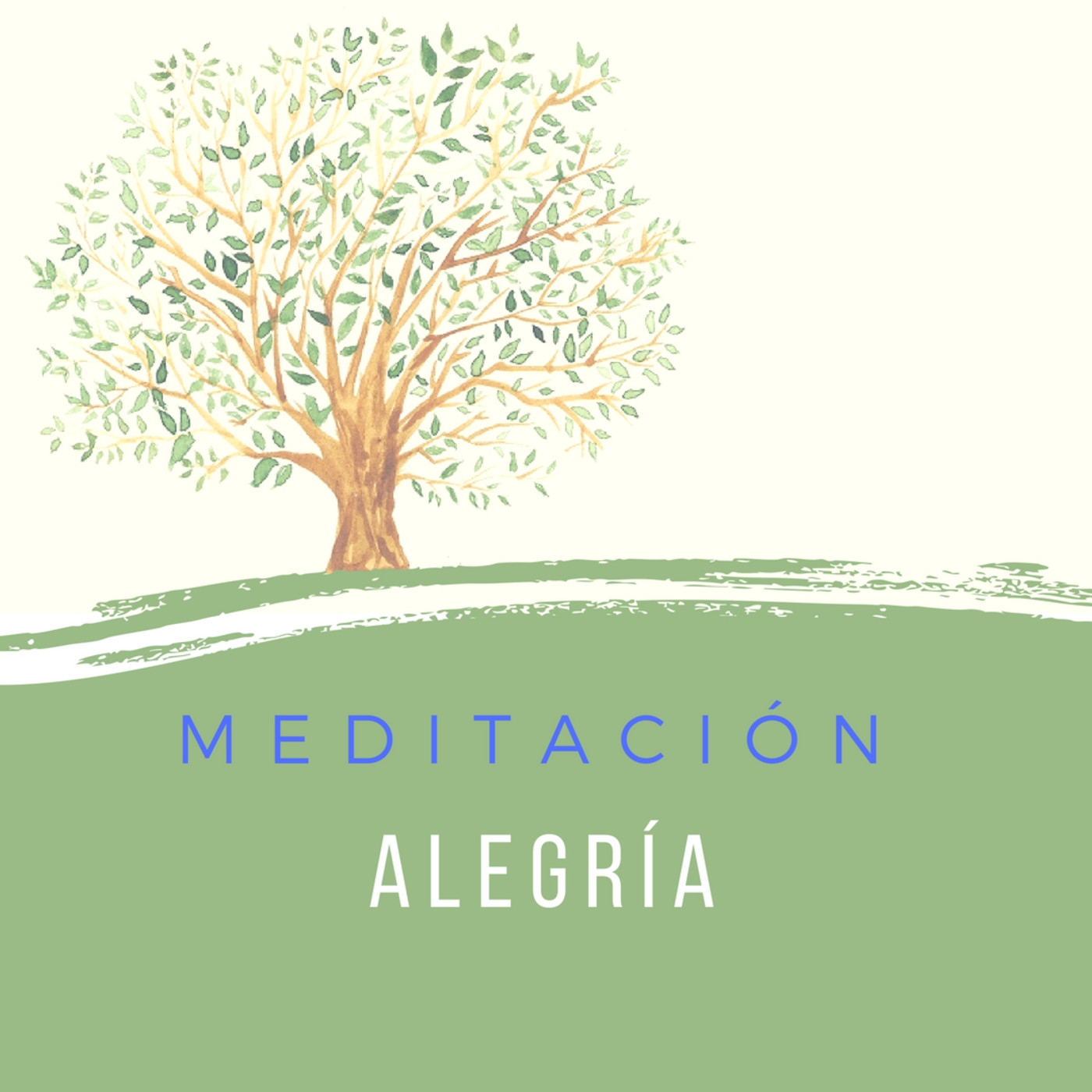 Asociación Buscadores de Plenitud