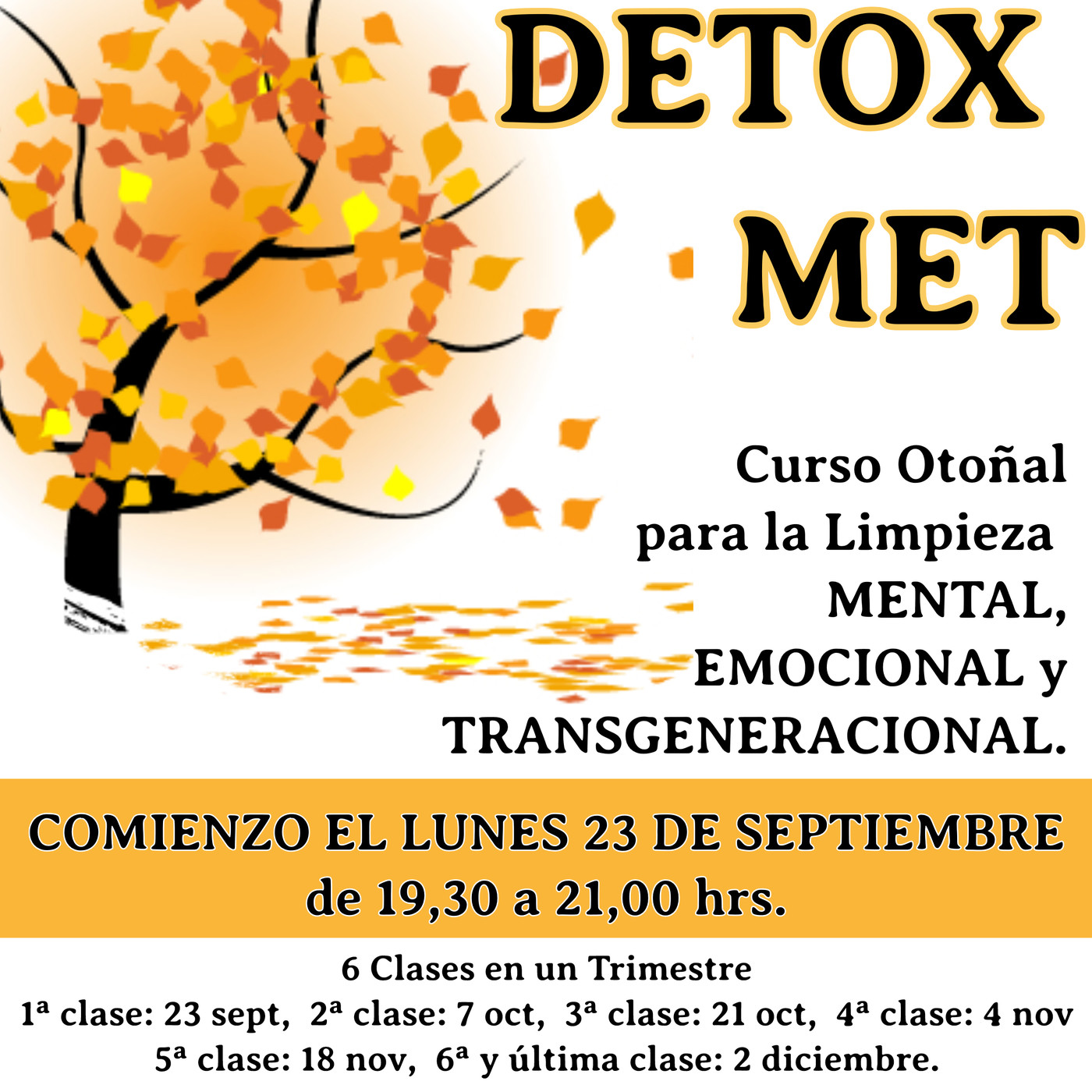 Desarrollo Personal con Luz Navas Torres