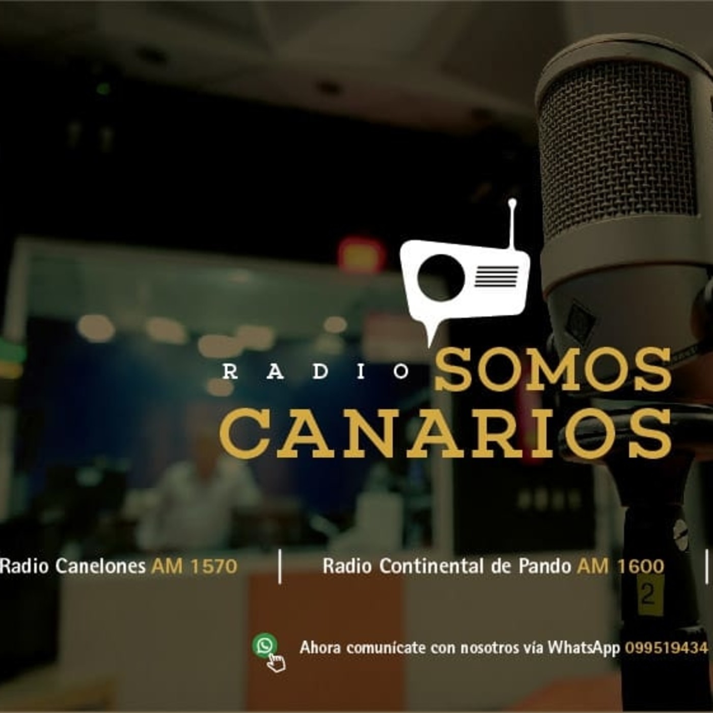 Gobierno de Canelones