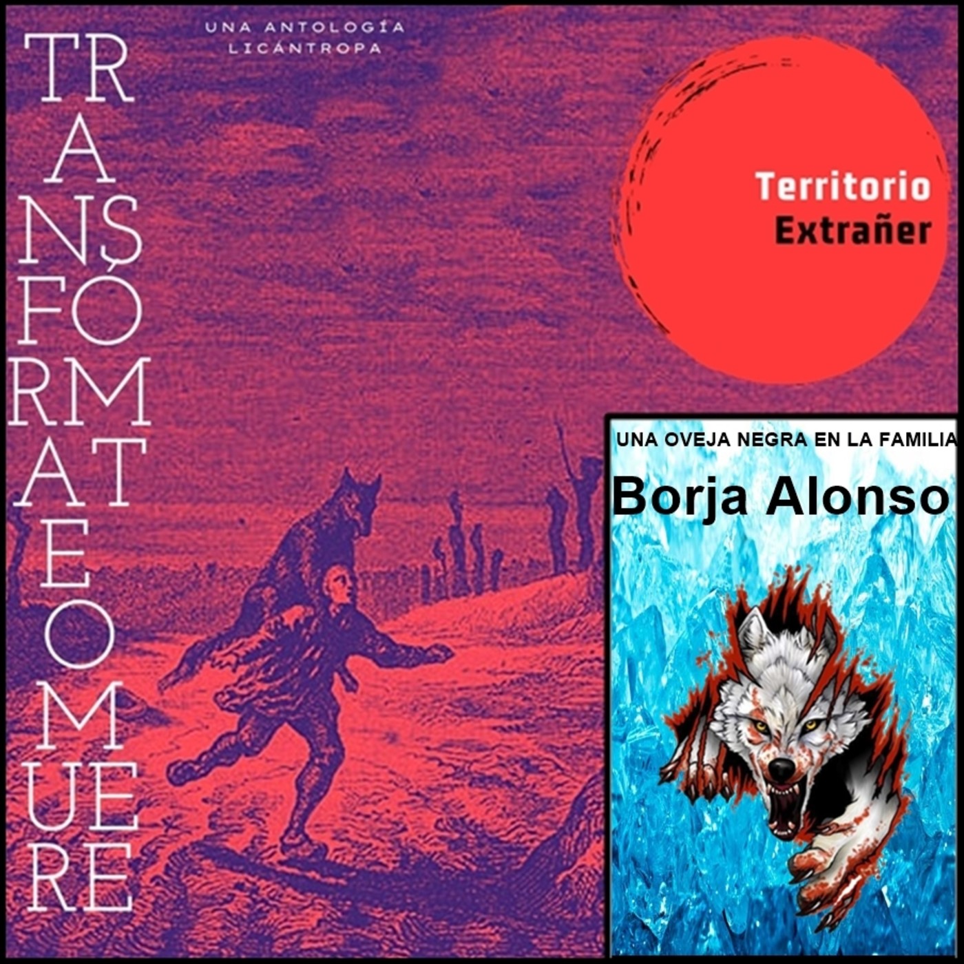Territorio Extrañer