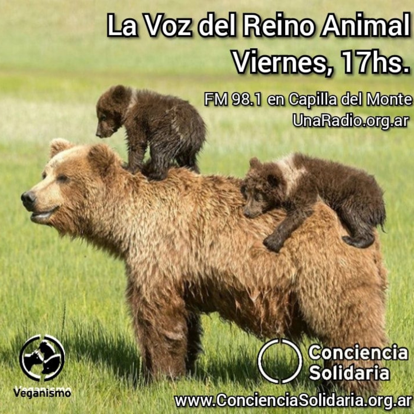 #LaVozDelReinoAnimal 27.12.19 episode artwork