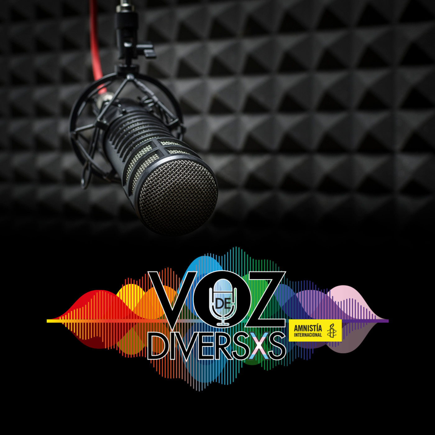 Voz de Diversxs