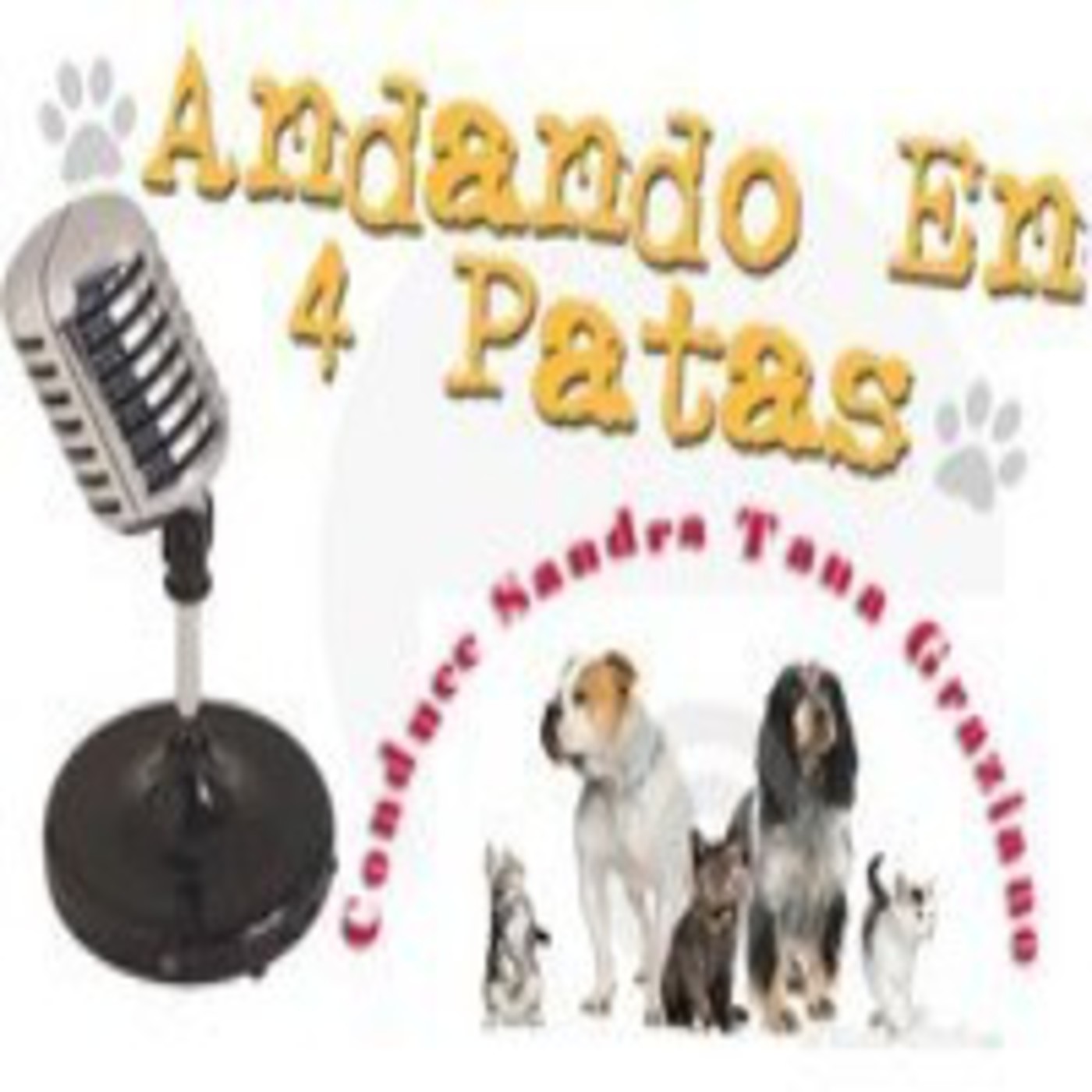 Andando en 4 Patas (07 de Enero 2012) episode artwork