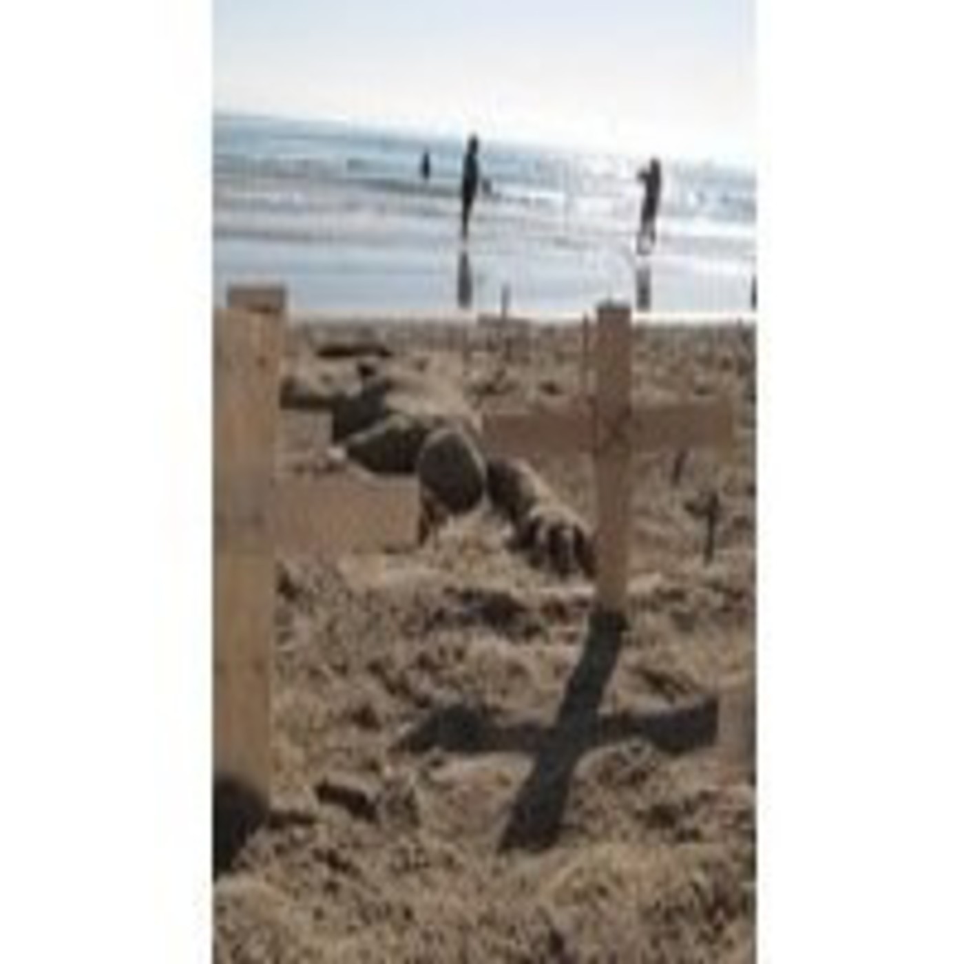 III jornada desalambrar las leyes contra los inmigrantes, en las playas episode artwork