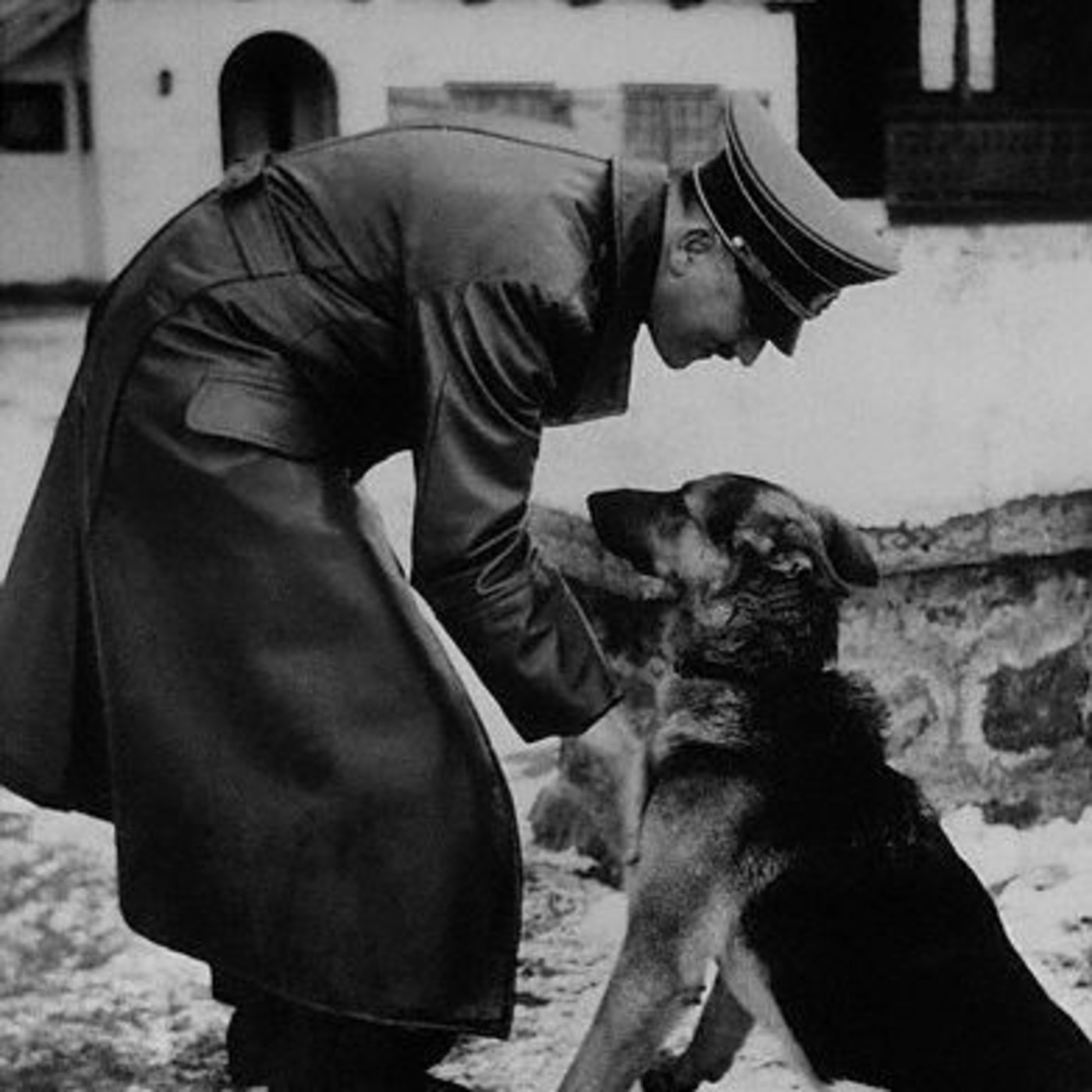 Los nazis y los animales episode artwork