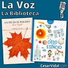 La Biblioteca - 29/11/18
