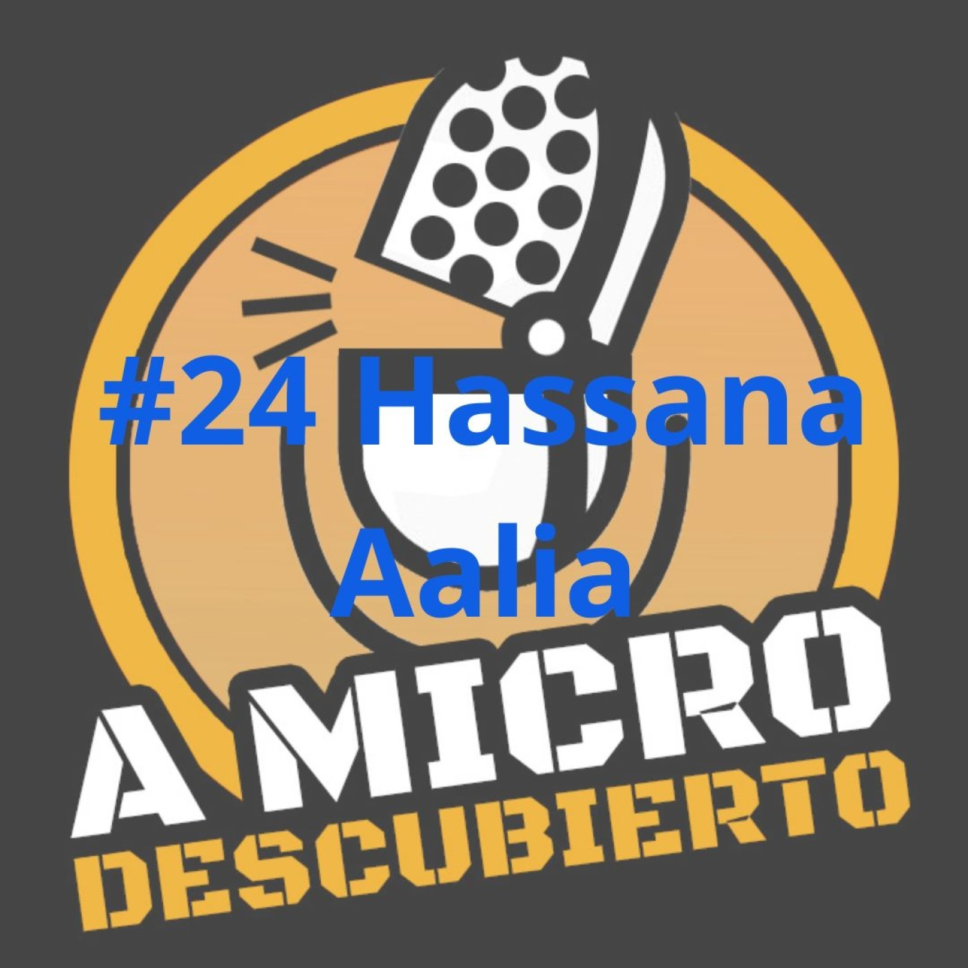 A Micro Descubierto