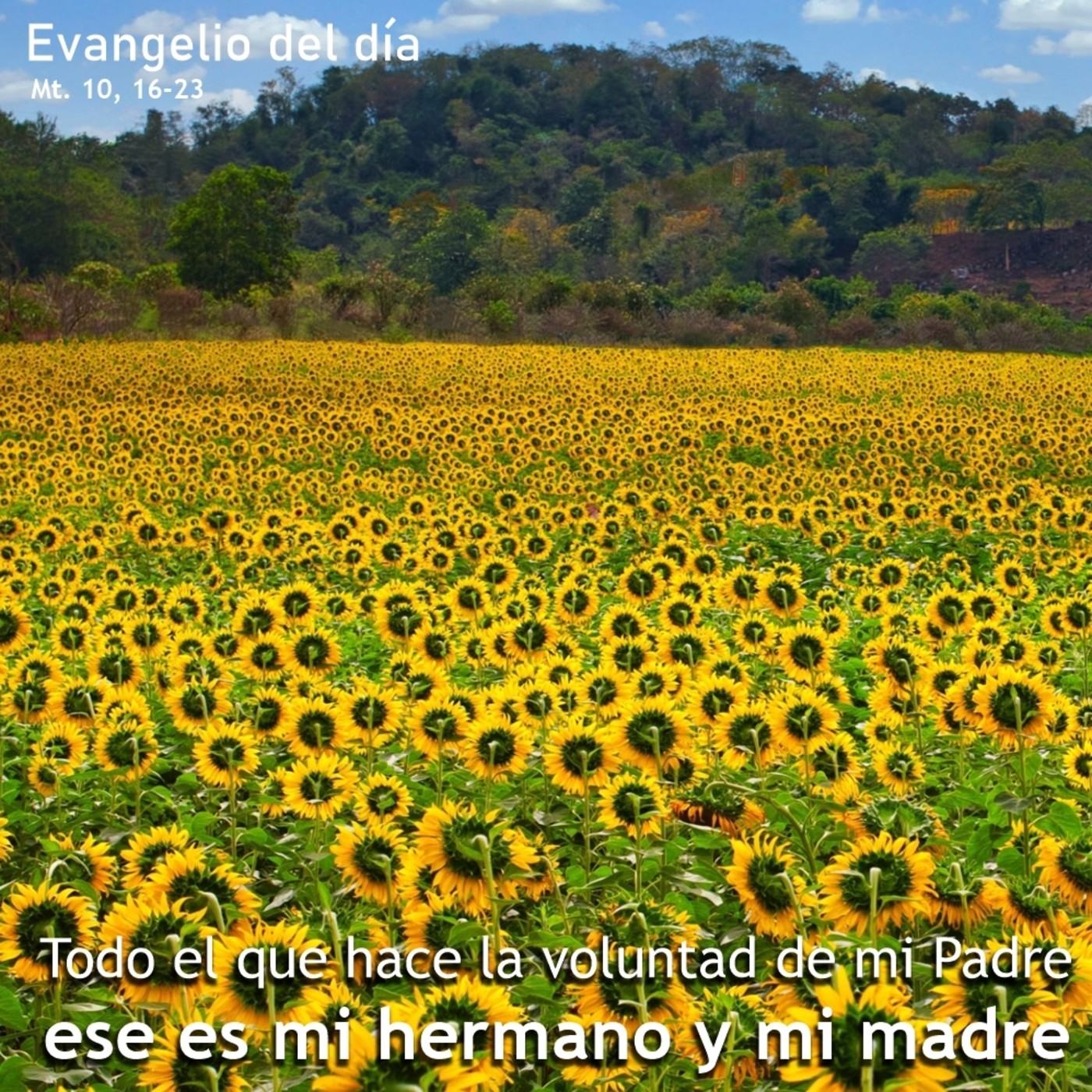 21 de julio de 2020